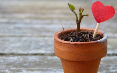 Cuore o Mente? L’intelligenza del Cuore e la Coerenza Cardiaca per la Donna 3.0