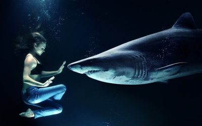 Lezioni di pesca per comunicatrici